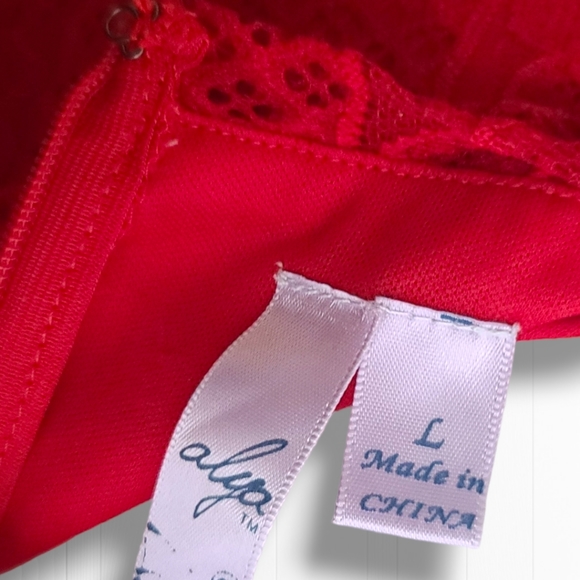 Alya Women's Red Floral Lace Short Sleeve Pleated A-Line Mini Dress Size Large - Picture 11 of 13